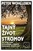 Tajný život stromov    Čo cítia a ako komunikujú – objavte fascinujúci skrytý svet