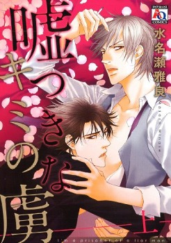 嘘つきなキミの虜〈上〉(Usotsuki na Kimi no Toriko, #1)