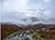Wordsworth and Basho: Walki...