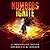 Numbers Ignite (Numbers Game, #2)