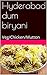 Hyderabad dum biryani: Veg/Chicken/Mutton