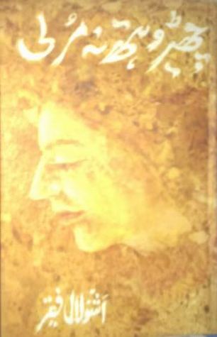 چھیڑو ہتھ نہ مرلی / Chero Hath Na Murli (Hardcover)