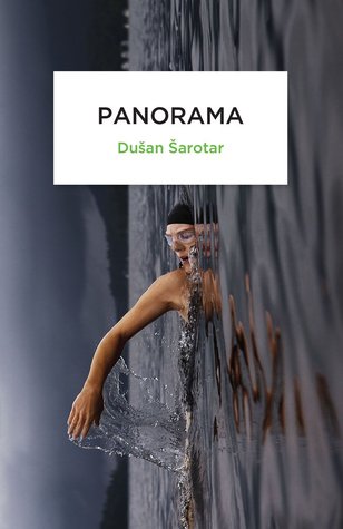Panorama (Paperback)