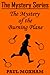 The Mystery of the Burning Plane (The Mystery Series, Short Story 9)