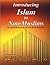Introducing Islam to Non-Muslims