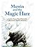 Muwin and the Magic Hare by Shetterly