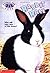 Rabbit Race (Animal Ark Pets, #3)