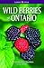 Wild Berries of Ontario by Fiona Hamersley Chambers