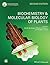 Biochemistry and Molecular Biology of Plants by Bob B. Buchanan