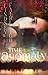 Time Anomaly by Lindsey Sparks