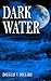 DARK WATER (Michael Riley Mystery Series)