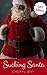 Sucking Santa: Gay Edition