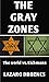 THE GRAY ZONES: The World v...