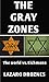 THE GRAY ZONES: The World vs. Eichmann. A free recreation of the Adolf Eichmann´s trial in Jerusalem (FOCUS ON NAZISM)