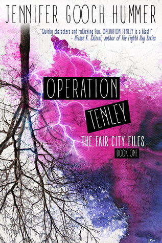 Operation Tenley (The Fair City Files #1)