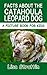 Facts About The Catahoula Leopard Dog (A Picture Book For Kids 108)