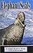 Elephant Seals