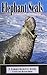 Elephant Seals