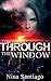 Through the Window
