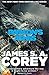 Babylon's Ashes (Expanse, #6)