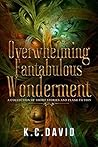 Overwhelming Fantabulous Wonderment