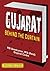 Gujarat Behind the Curtain