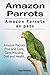 Amazon Parrots as pets. Ama...