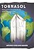 Tornasol: a Guide to the Interpretation of Literary Texts and Films