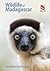 Wildlife of Madagascar by Ken Behrens