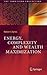Energy, Complexity and Wealth Maximization (The Frontiers Collection)