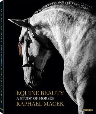 Equine Beauty: A Study of Horses (English and German and Spanish and French and Portuguese Edition)