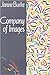 Company of Images