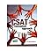 Conceptual Approach to the CSAT (Paper - II)