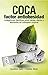 COCA: FACTOR ANTIOBESIDAD: Indagaciones científicas sobre causas, efectos y atenuantes del sobrepeso corporal (Spanish Edition)