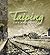 Taiping Life and Soul : A Town Planning Perspective by R&D, JPBD