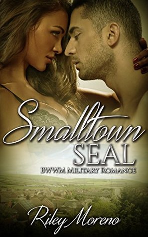 Small Town Seal (Kindle Edition)