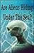 Are Aliens Hiding Under The Sea: Are there alien occupy our oceans