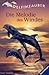 Die Melodie des Windes (Delfinzauber, #1)