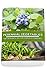Perennial Vegetables: Top-30 Plants You Can Harvest Forever: (Gardening, Gardening Books, Botanical, Home Garden, Horticulture, Garden, Gardening, Plants, ... Perennial Vegetables, Vegetable Garden)
