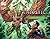 Injustice: Gods Among Us: Year Five (2015-2016) #30 (Injustice: Gods Among Us (2013-2016))