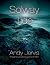 Solway Tide