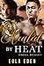 Healed by Heat by Eola Eden