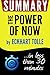 Summary of The Power of Now...