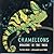 Chameleons: Dragons in the ...
