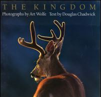 The Kingdom (Hardcover)