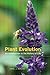 Plant Evolution by Karl J. Niklas
