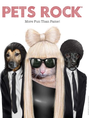 Pets Rock®: More Fun Than Fame!
