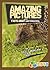 Amazing Pictures and Facts About Hedgehogs: The Most Amazing Fact Book for Kids About Hedgehogs
