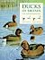 Ducks of Britain and the No...