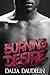 Burning Desire (Erotic Romance Bundle)